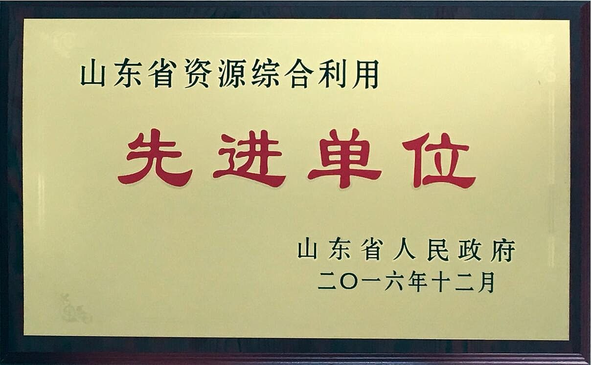 山東省資源綜合利用先進單位